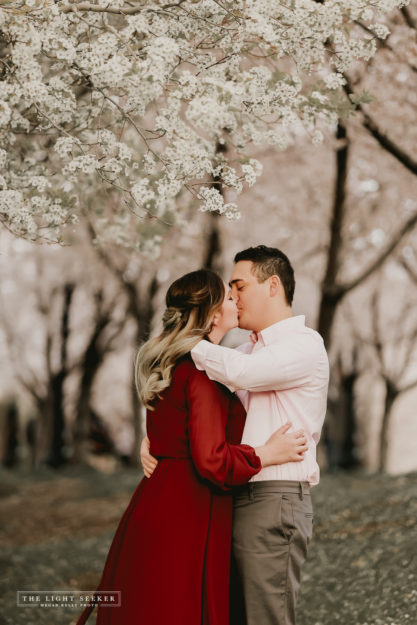 TheLightSeeker-UtahCapitolBuilding-Engagements-Blossoms-Flowers-3