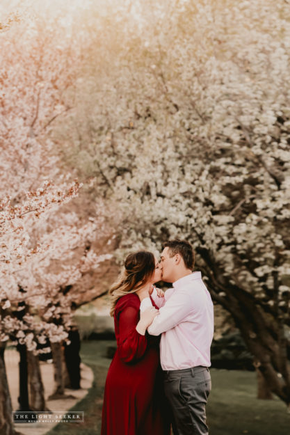 TheLightSeeker-UtahCapitolBuilding-Engagements-Blossoms-Flowers-38