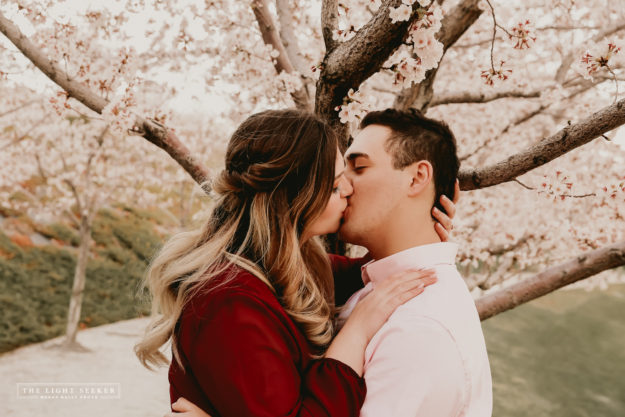 TheLightSeeker-UtahCapitolBuilding-Engagements-Blossoms-Flowers-42