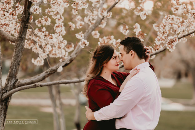 TheLightSeeker-UtahCapitolBuilding-Engagements-Blossoms-Flowers-6