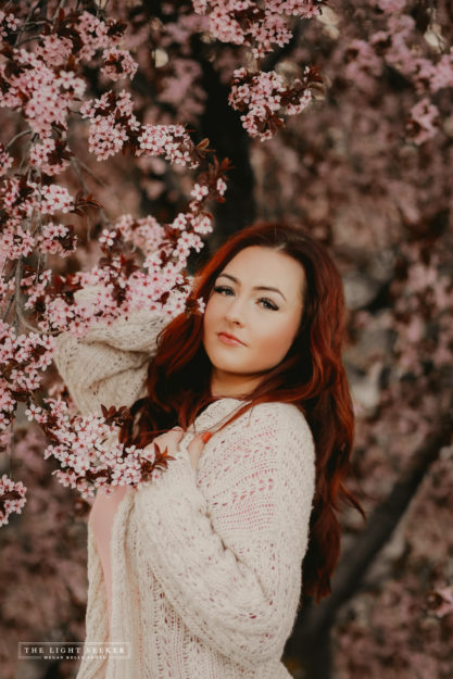 TheLightSeeker-UtahPhotographer-Blossoms-Flowers-Spring-1