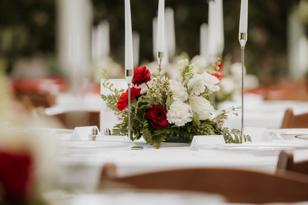 TheLightSeeker-Anabel-Shane-Wedding-RedButteGardens-2025-179