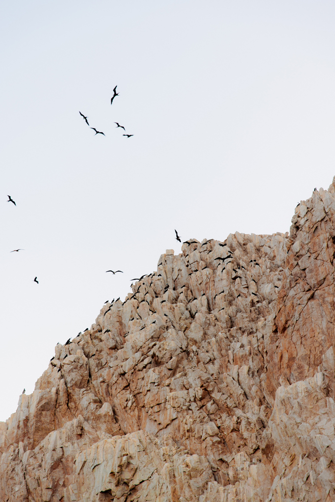 TheLightSeeker-Lauren-Randy-Cabo-LaBlanc-Wedding-Elopement-2023-250