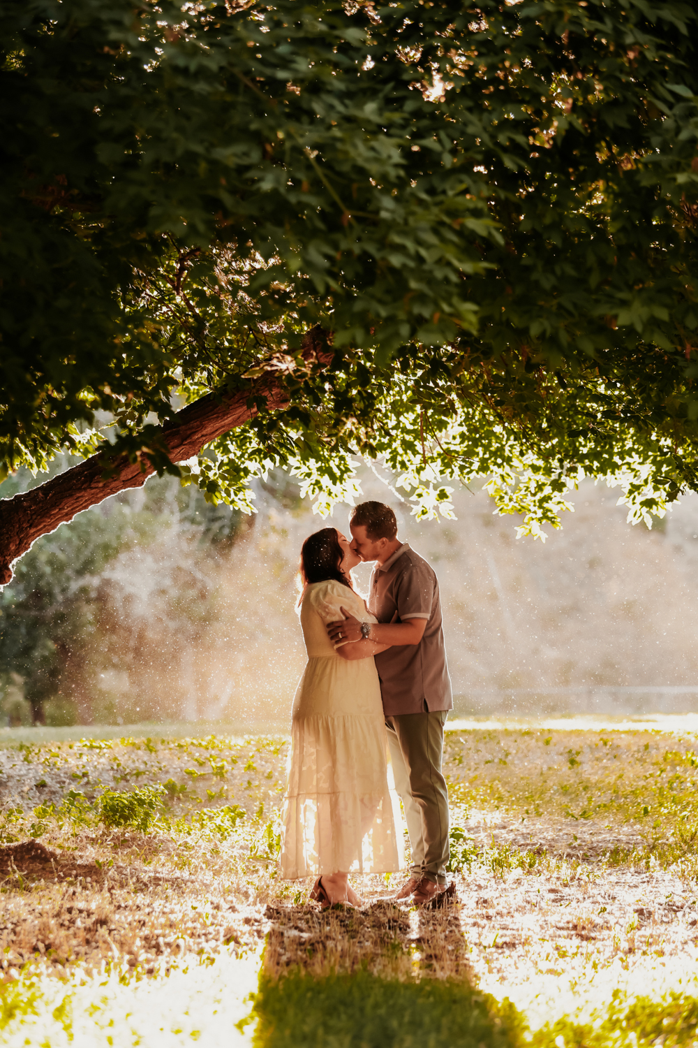 TheLightSeeker-WardFamily-BuenaventuraPark-Summer-2023-29